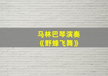 马林巴琴演奏 《野蜂飞舞》